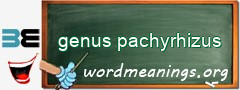 WordMeaning blackboard for genus pachyrhizus